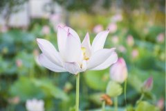 岳麓區(qū)網(wǎng)站設(shè)計(jì)公司該如何選擇？